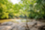 An Evening With Jason Thrasher: A Fundraiser for the Middle Oconee Conservation Corridor