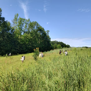 Butterfly Hike at Tallassee Forest 
