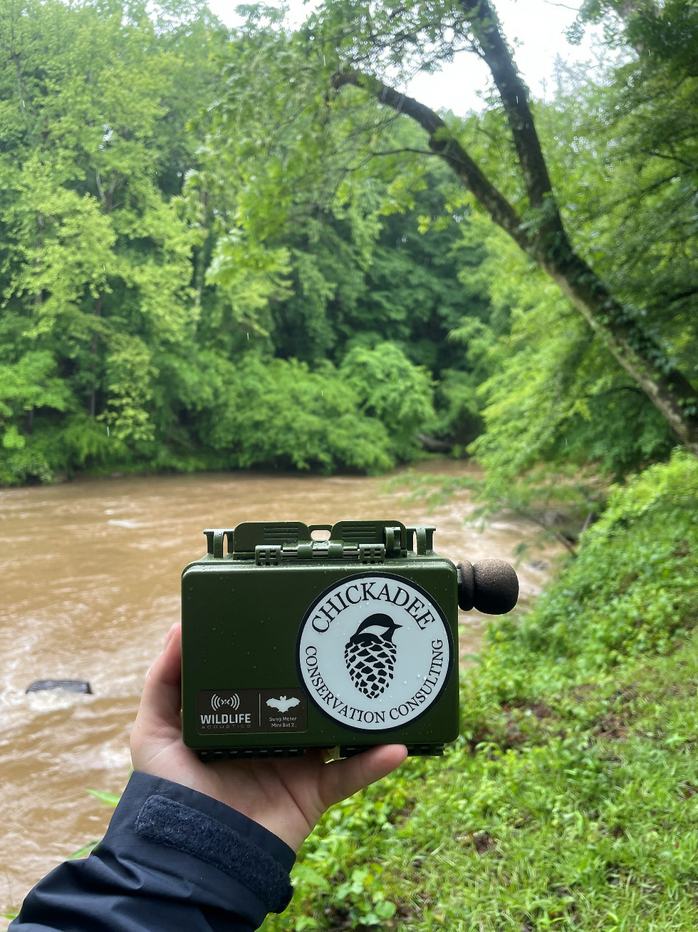 Acoustic/ultrasonic recording device (Wildlife Acoustics Song Meter Mini Bat 2) used to collect data on the Coenen conservation easement. Photo by Lauren Gingerella. 