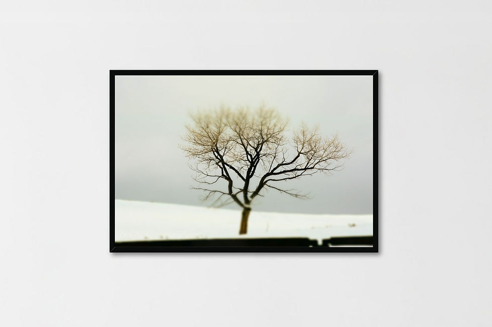 Thumbnail: Winter II
