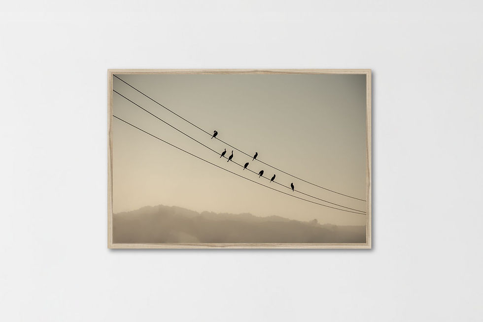 Thumbnail: Long Line I