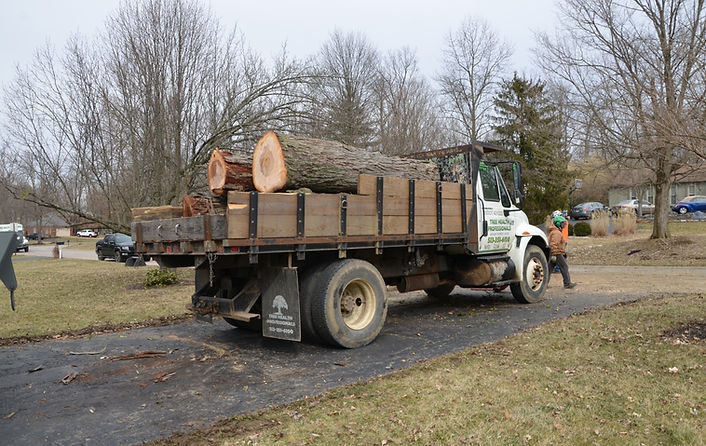 Truck with big logs in back