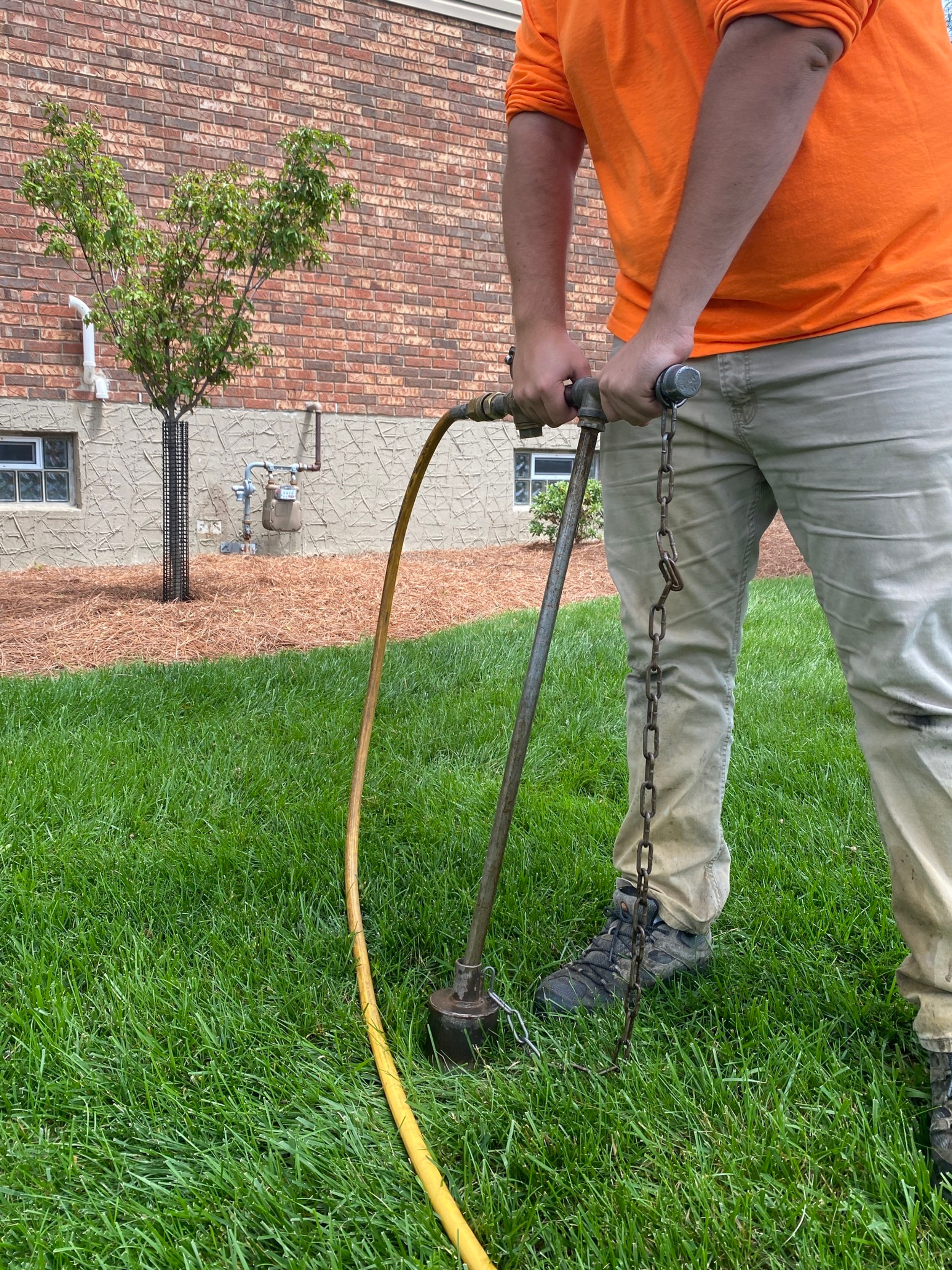 Dc Deep Roots The Importance of Professional Deep Root Feeding