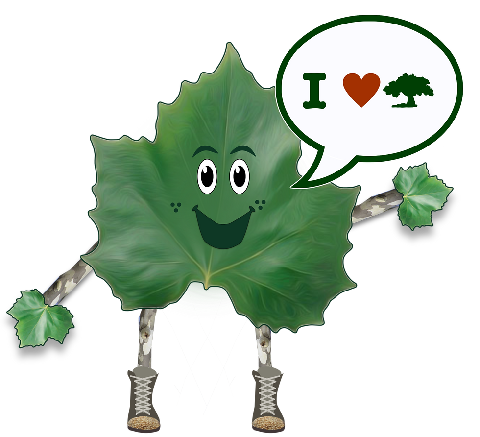 Lester Leaf Loves Trees