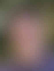 Teddy Woodhouse ISA Arborist