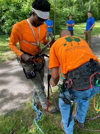 Gregory Forrest Lester, Inc Tree Climbing