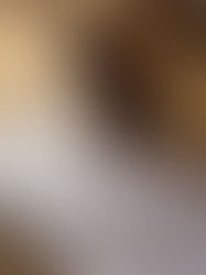 Step 3 - Joining & Cutting into Shapes