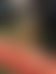 Step 10 - Make the seat