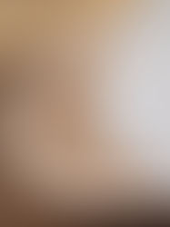 Step 4 - Carve the recessed part and fillet