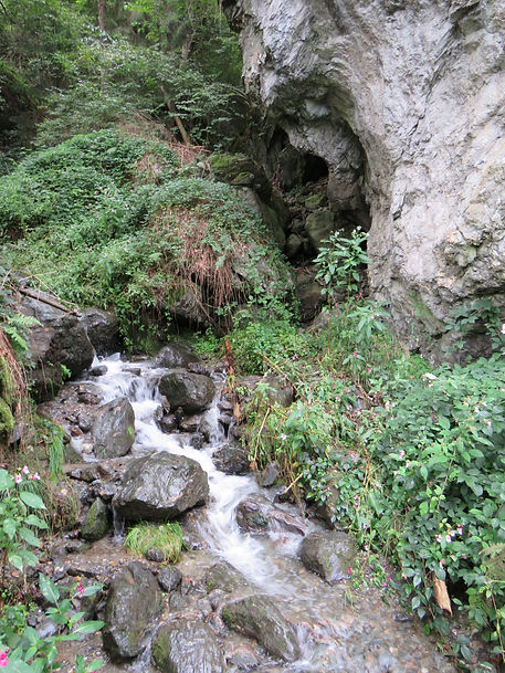 IMG_2376.JPG