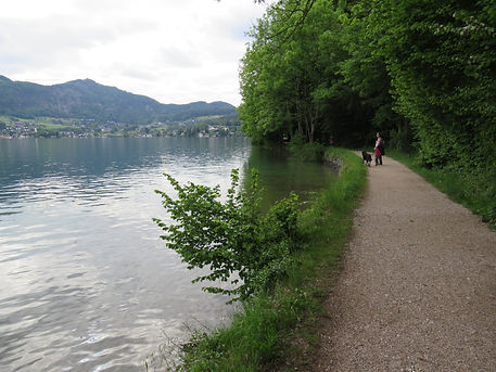 IMG_3885.JPG