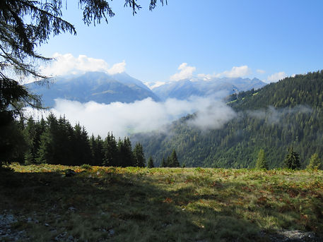 IMG_2522.JPG