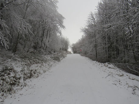 IMG_3526.JPG