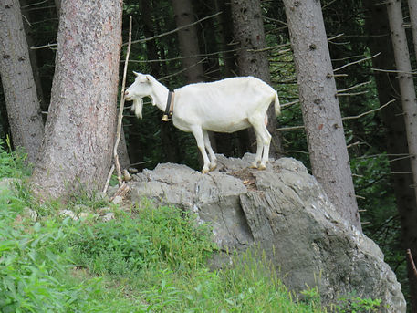 IMG_2435.JPG