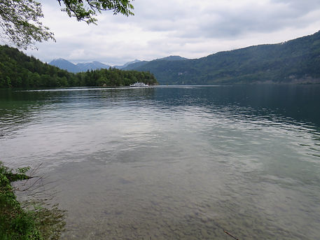 IMG_3884.JPG