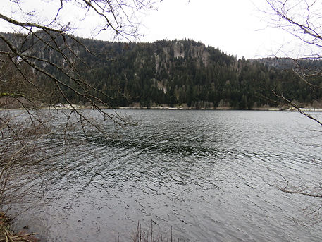 IMG_3633.JPG