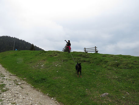 IMG_3820.JPG