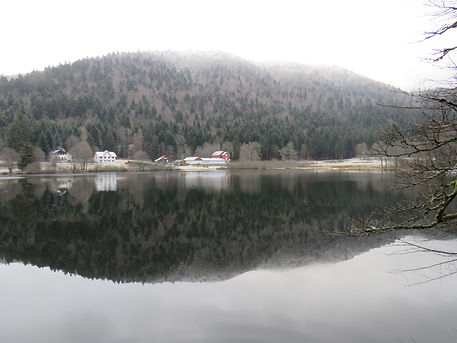 IMG_3490.JPG