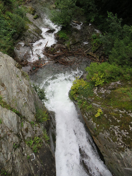 IMG_2383.JPG