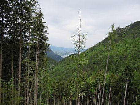 IMG_3776.JPG