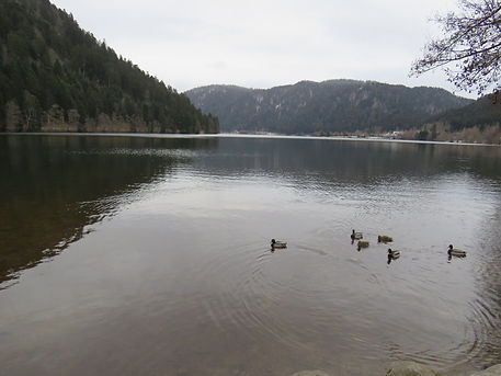 IMG_3640.JPG