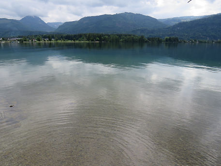 IMG_3841.JPG