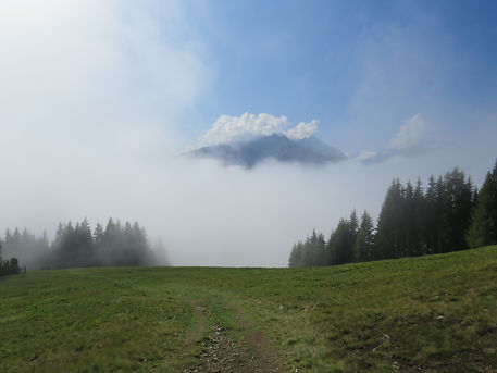 IMG_2516.JPG