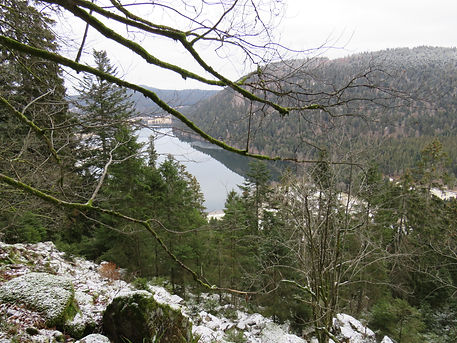 IMG_3578.JPG