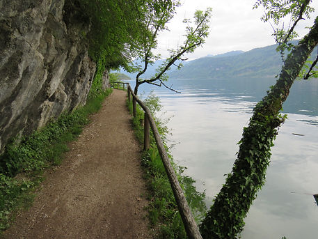 IMG_3894.JPG