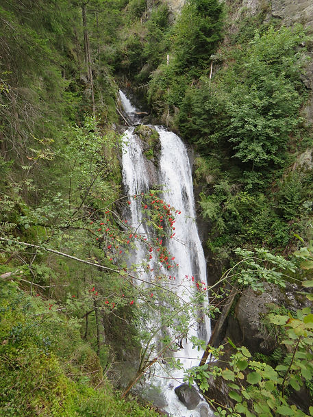 IMG_2387.JPG
