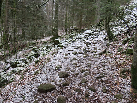 IMG_3493.JPG