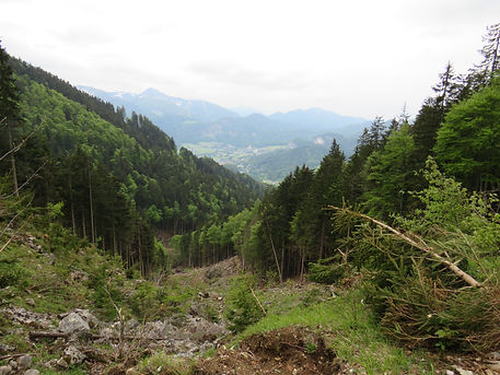 IMG_3784.JPG
