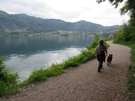 IMG_3887.JPG