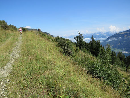 IMG_2525.JPG