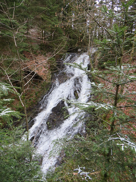 IMG_3626.JPG