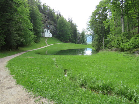 IMG_3860.JPG