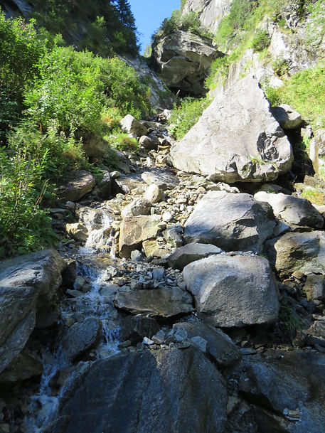 IMG_2783.JPG
