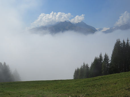 IMG_2518.JPG
