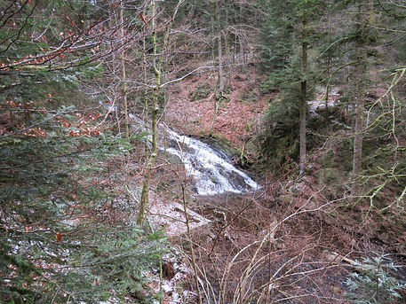 IMG_3619.JPG