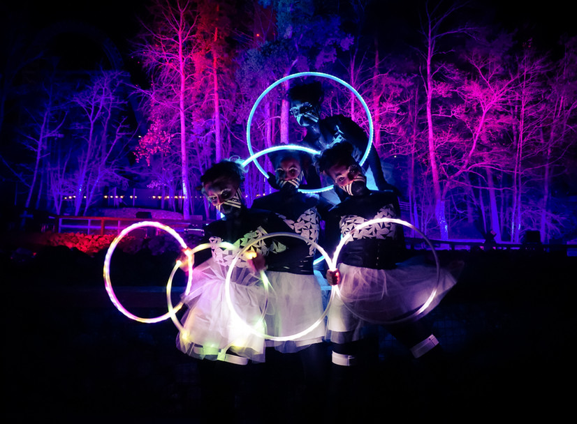 Led show
