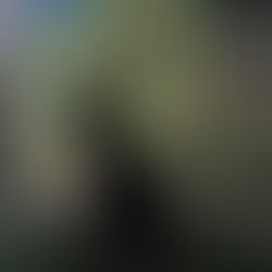 わっしょいわっしょい