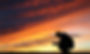 Good-Country-Songs-About-Praying.jpg