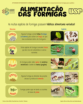 Poster Formigas Escola (2).png