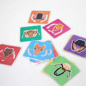 Qual a 'cara' das formigas brasileiras?