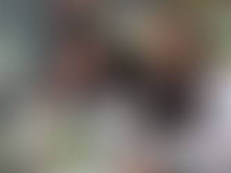 Junho de 2025: Colégio Vital Brazil