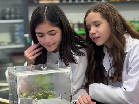 Junho de 2025: Colégio Vital Brazil