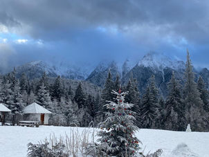Discover the Magic of Winter in Romania: Bucharest as Your Perfect Launchpad