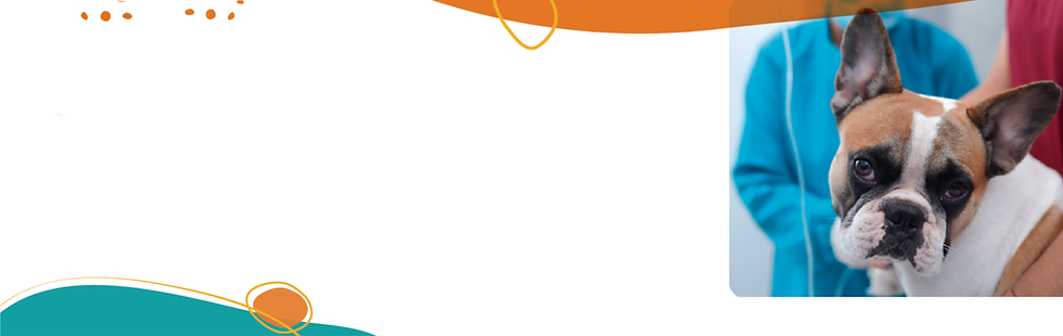 Diseño sin título (50).png