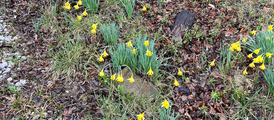 Evolution, Not Revolution