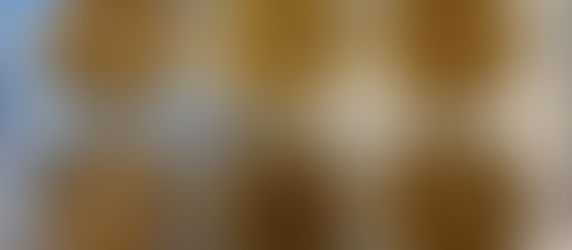 Delight: Mini Pecan Pies